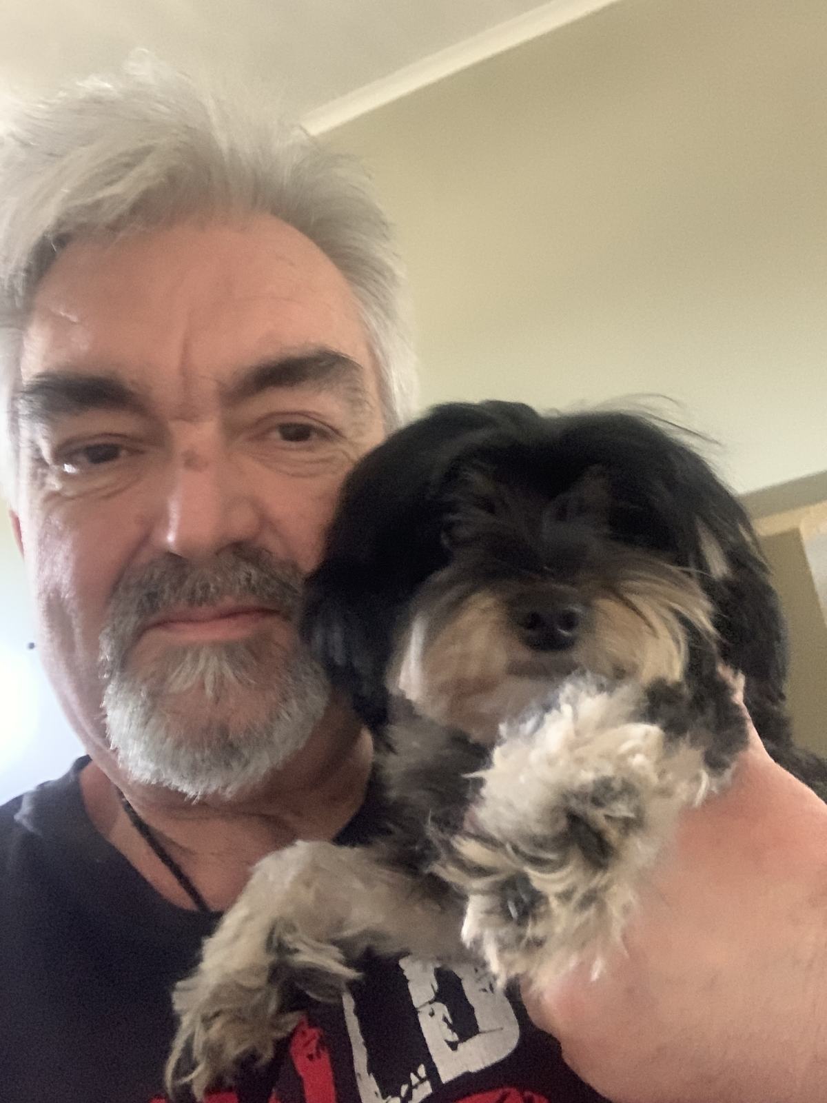 Shaggy Dog S Tale