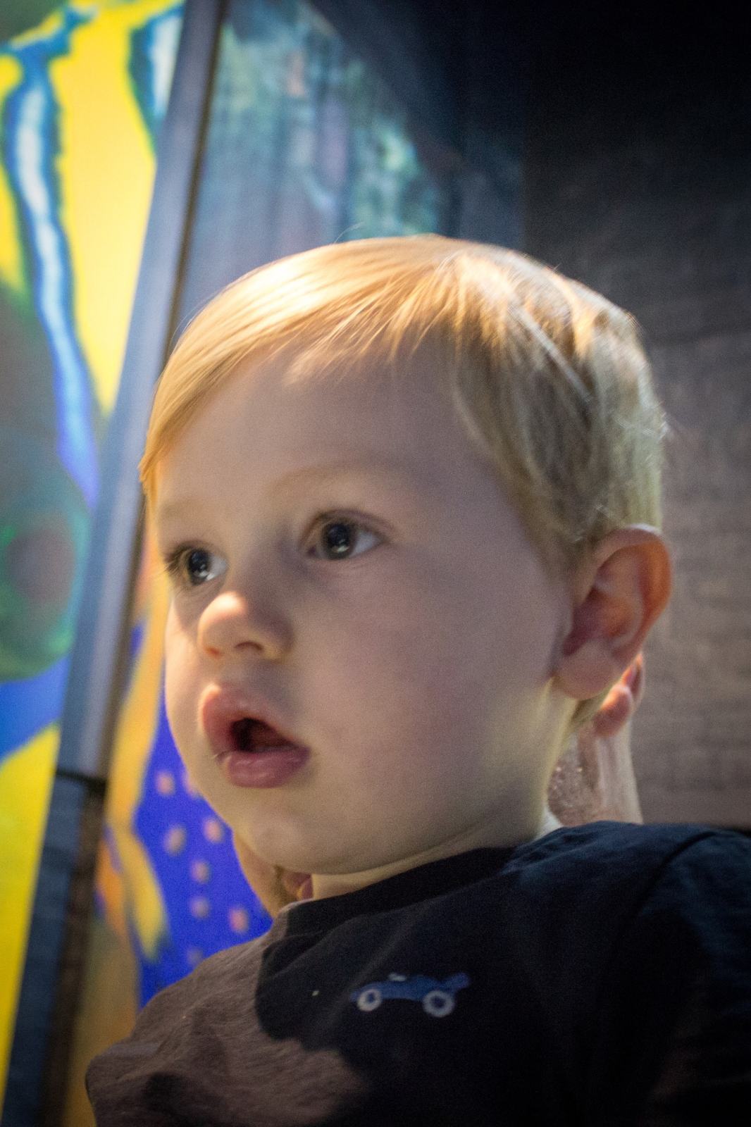 Rainy Day Trip To Aquarium