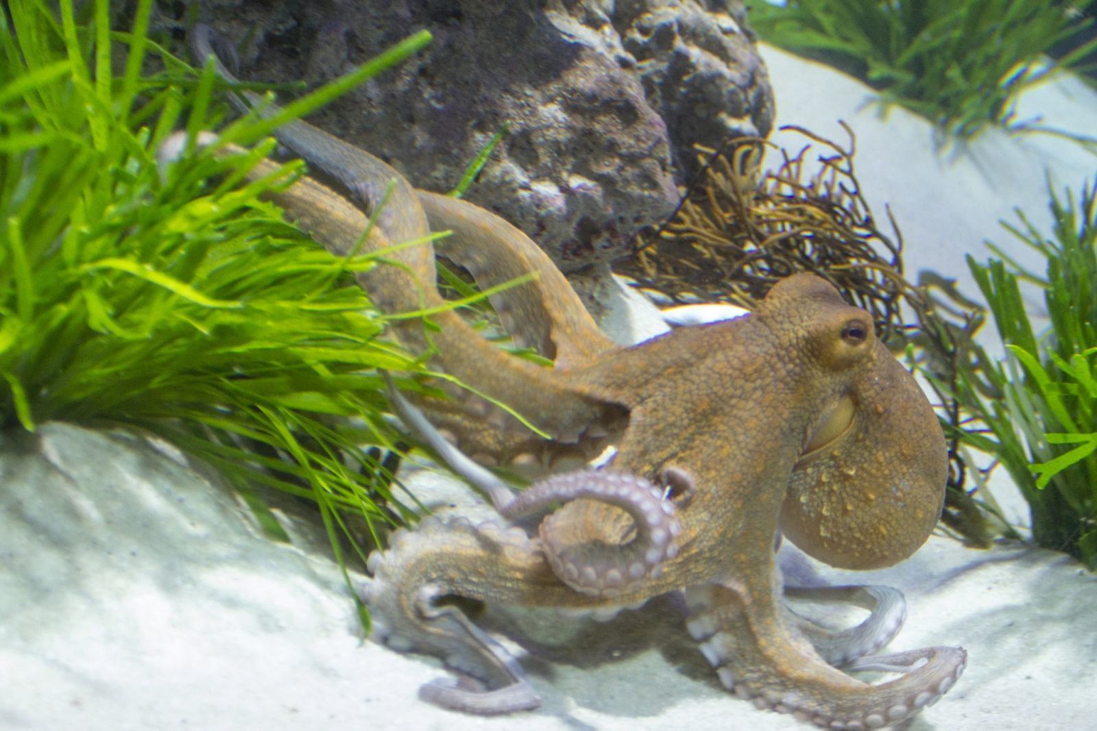 Rainy Day Trip To Aquarium