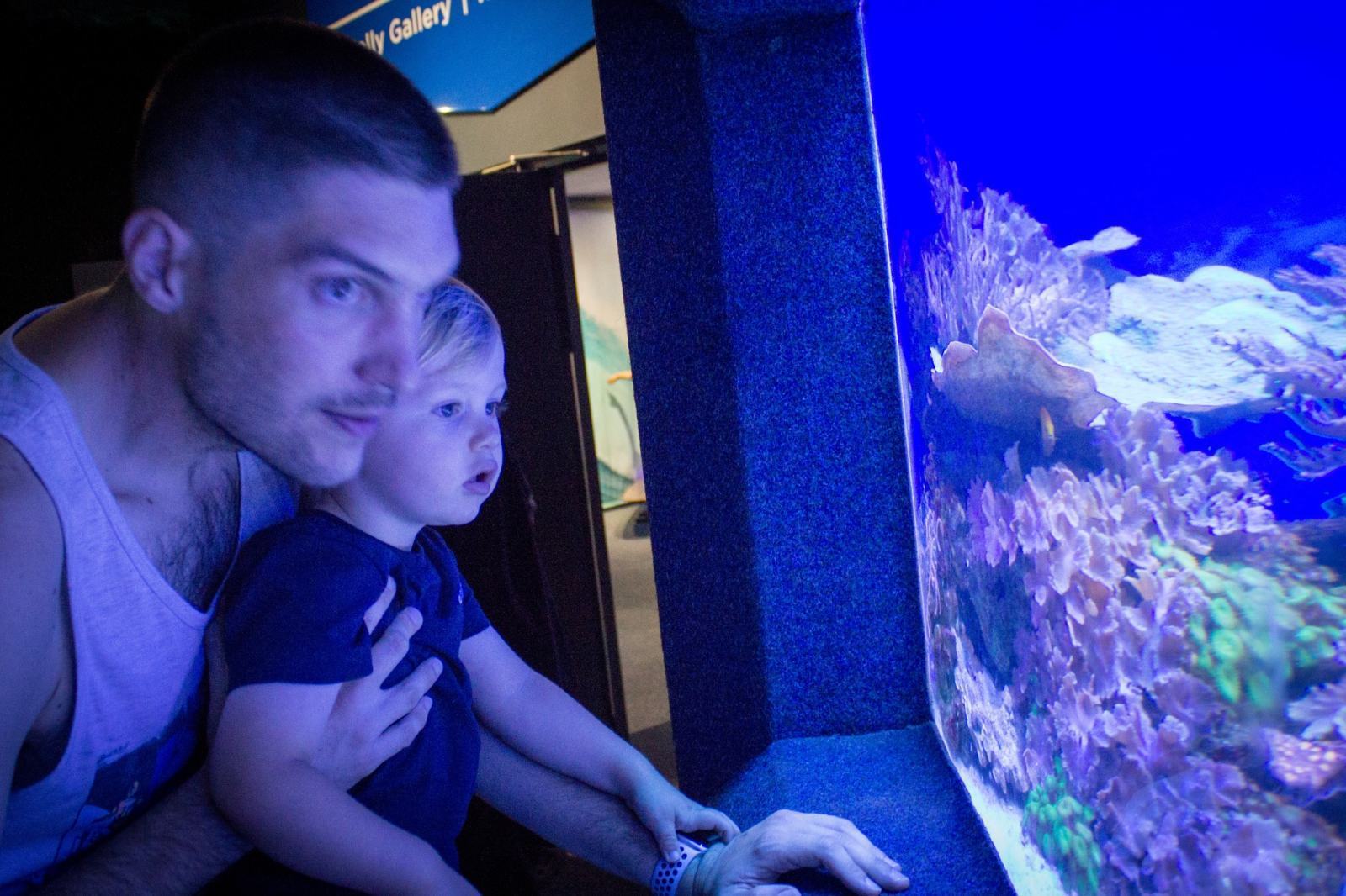 Rainy Day Trip To Aquarium