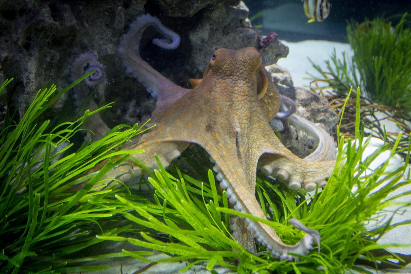 Rainy Day Trip To Aquarium