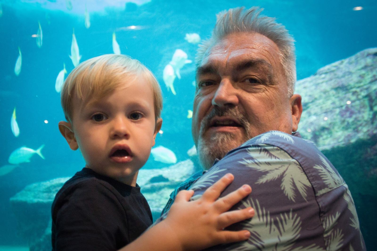 Rainy Day Trip To Aquarium
