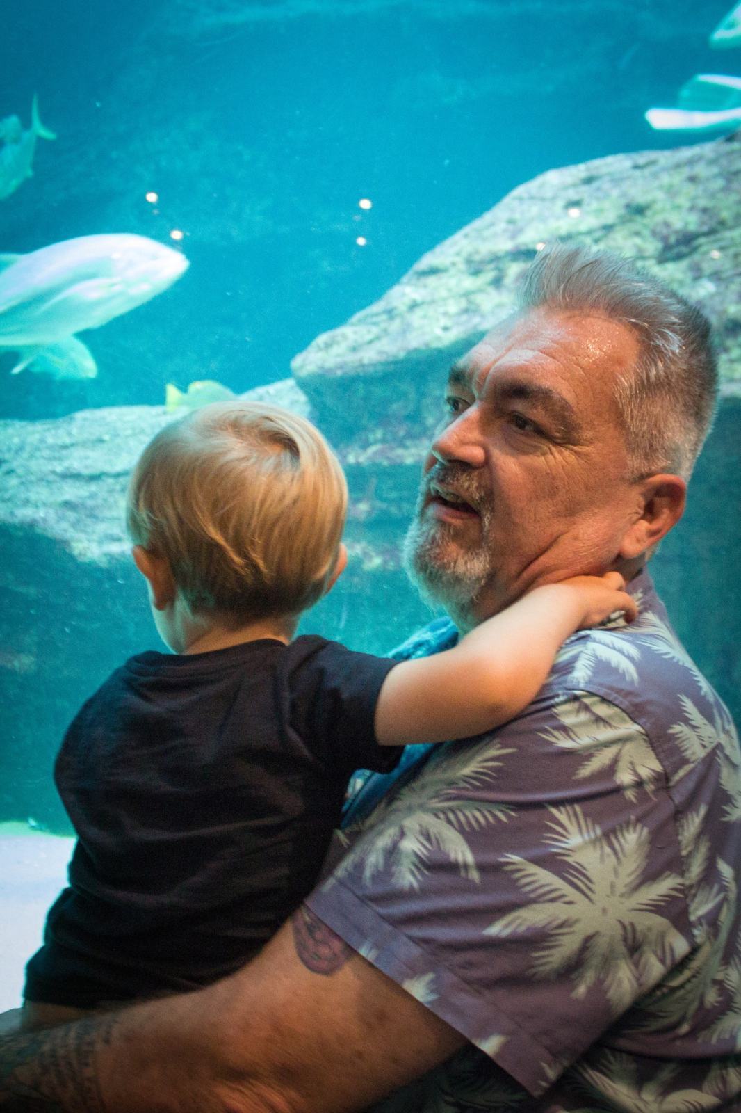 Rainy Day Trip To Aquarium