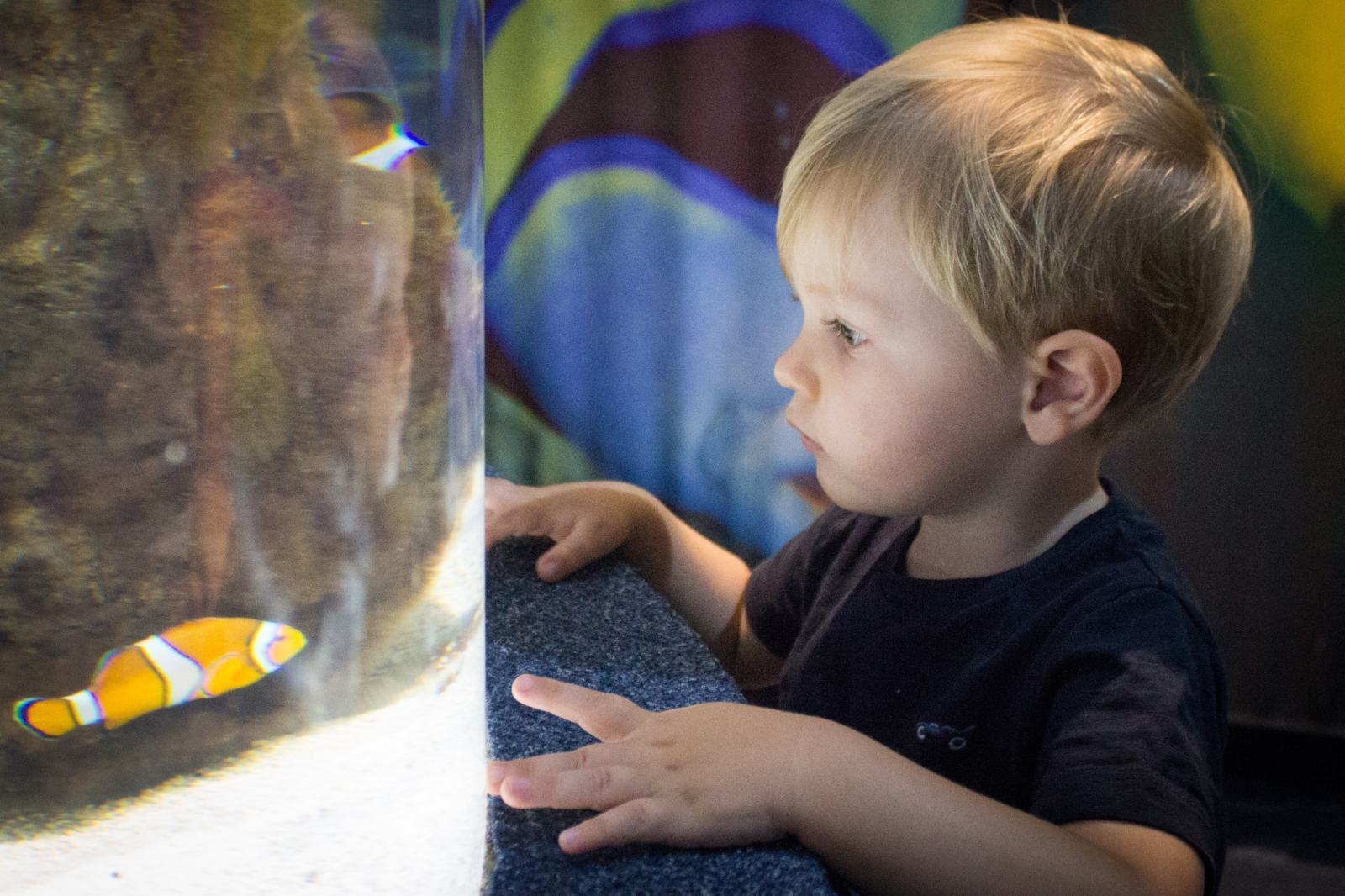 Rainy Day Trip To Aquarium