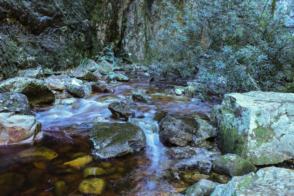 Greyton August 2016