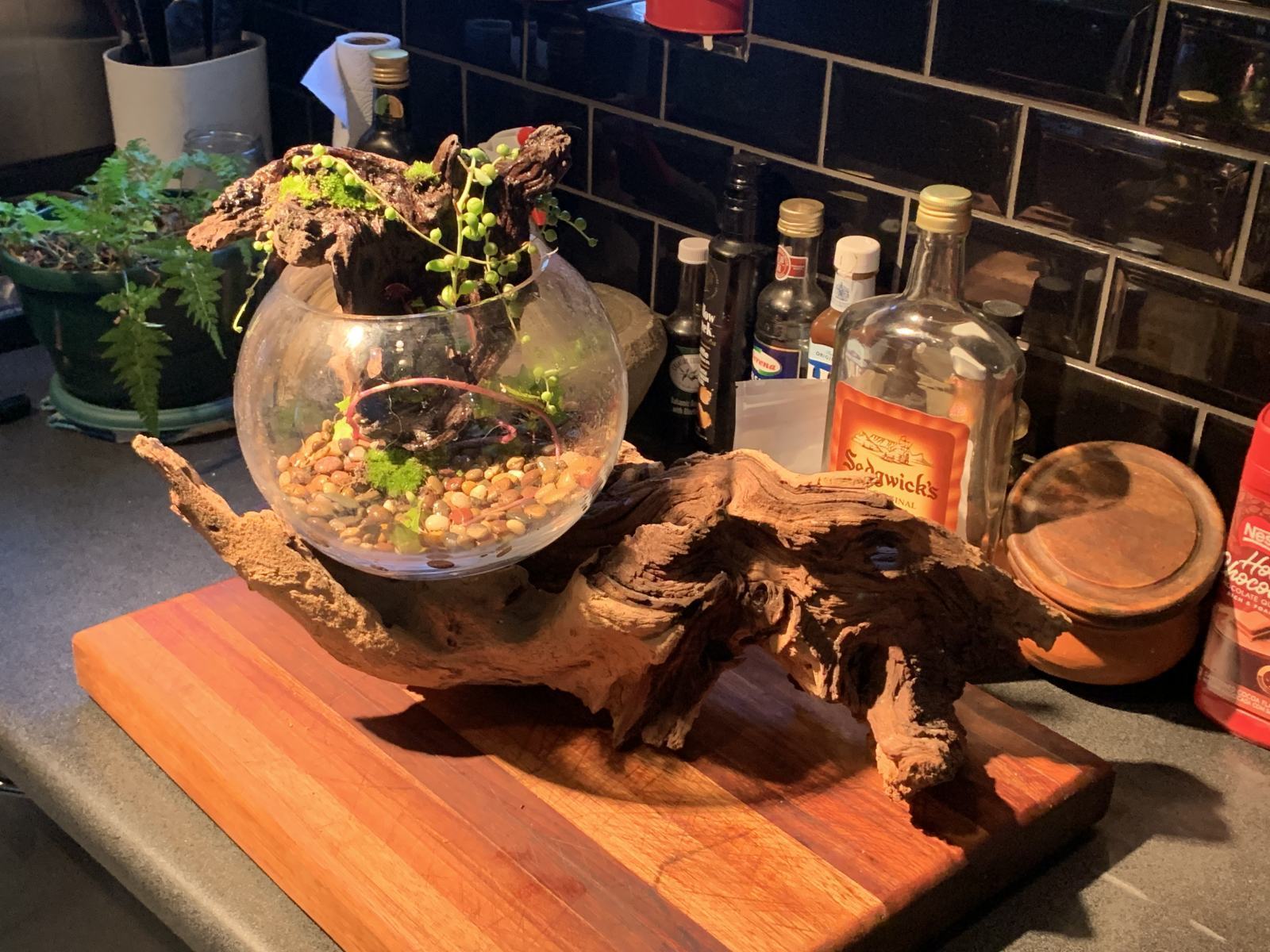 A Bowl For The Kitchen