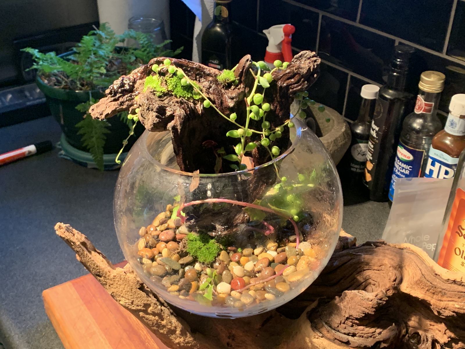 A Bowl For The Kitchen