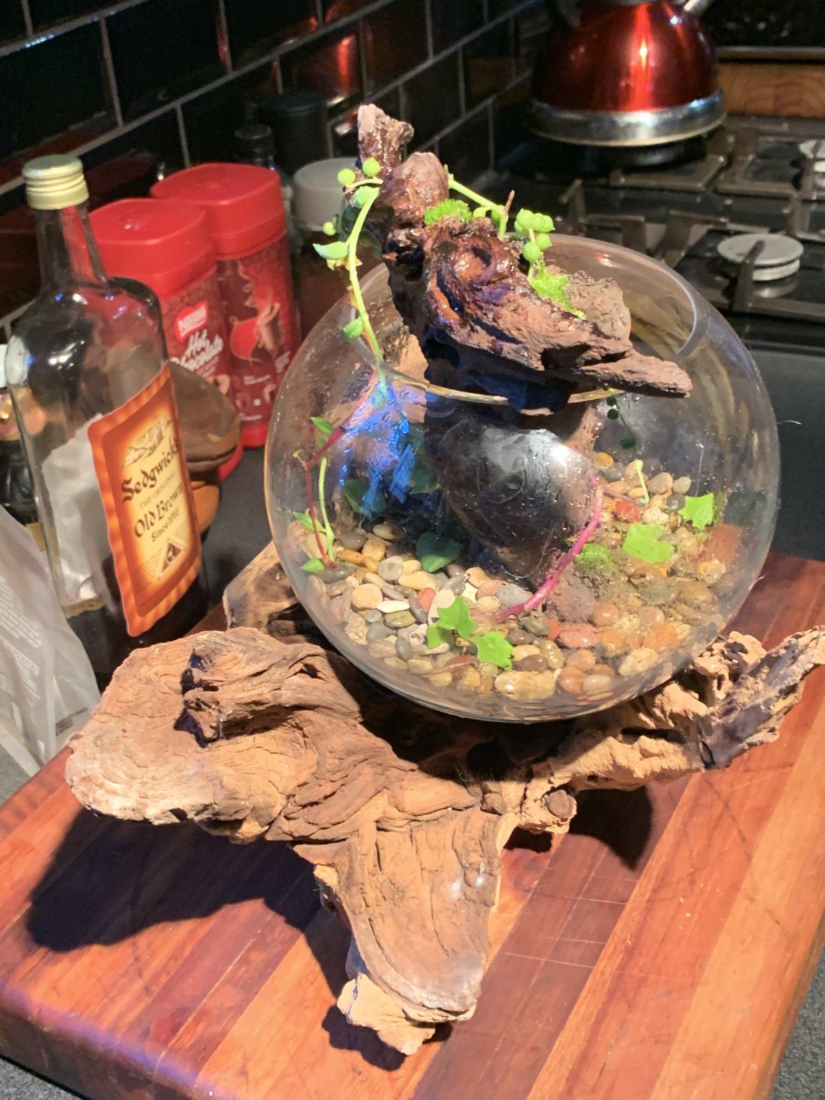 A Bowl For The Kitchen