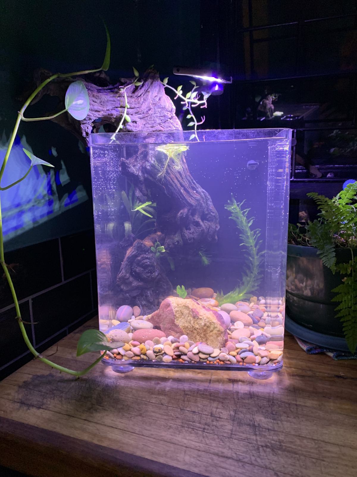 A Bowl For The Kitchen
