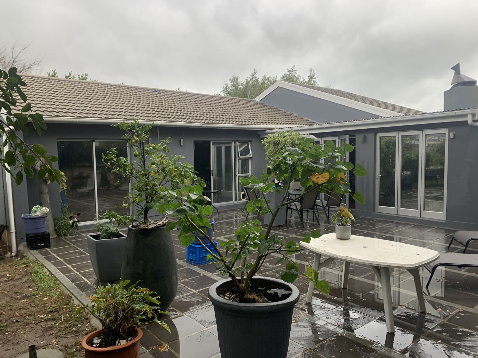 Patio And Missing Angels