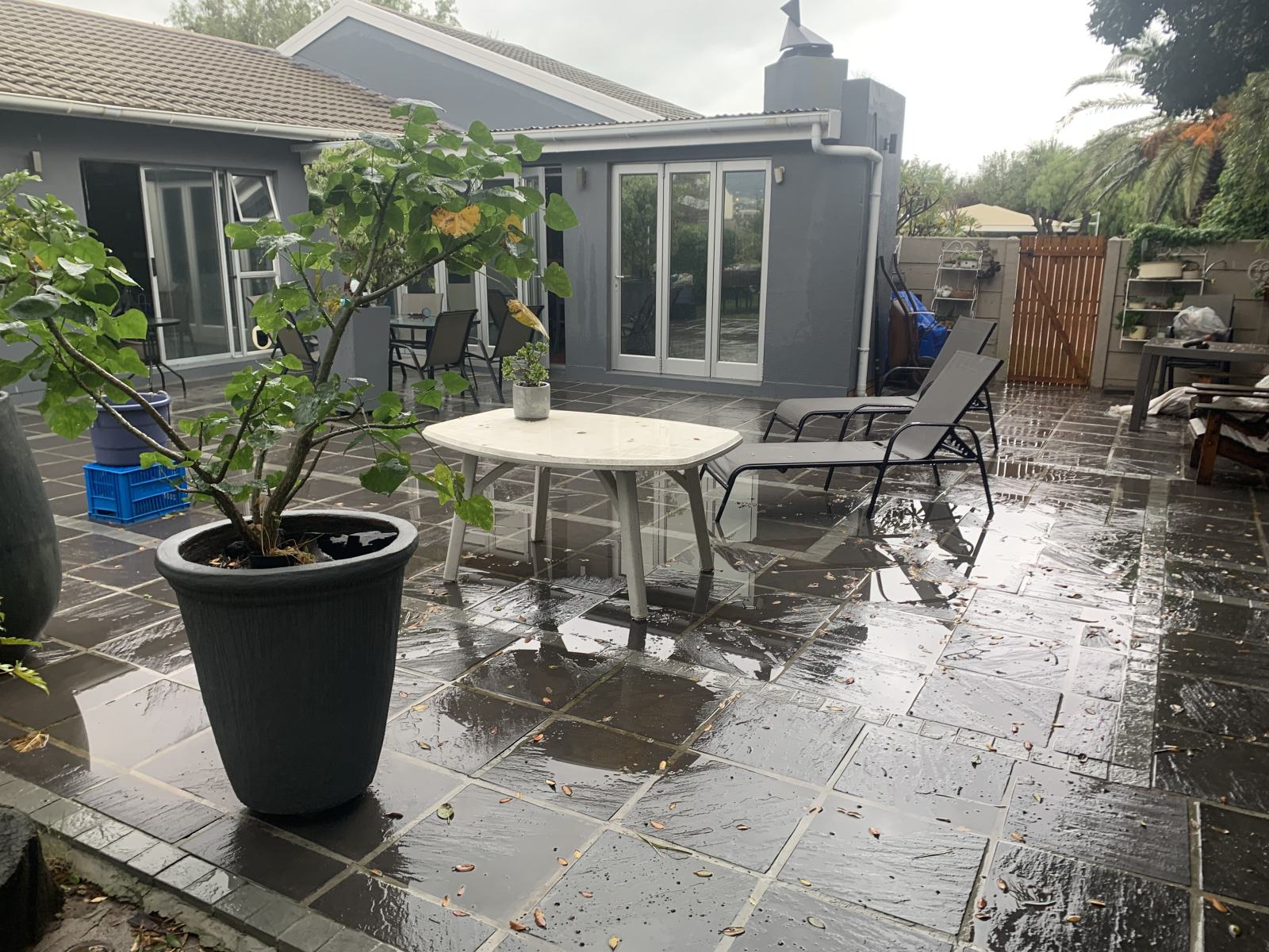 Patio And Missing Angels