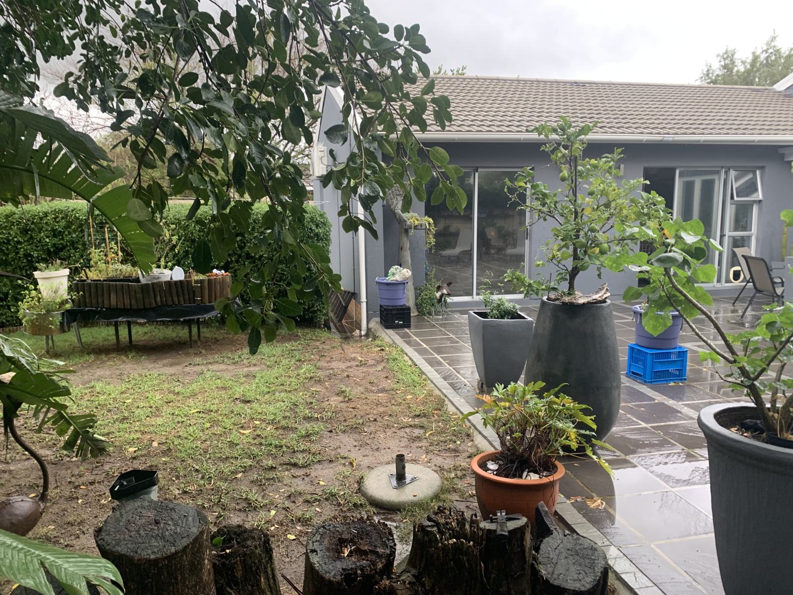 Patio And Missing Angels