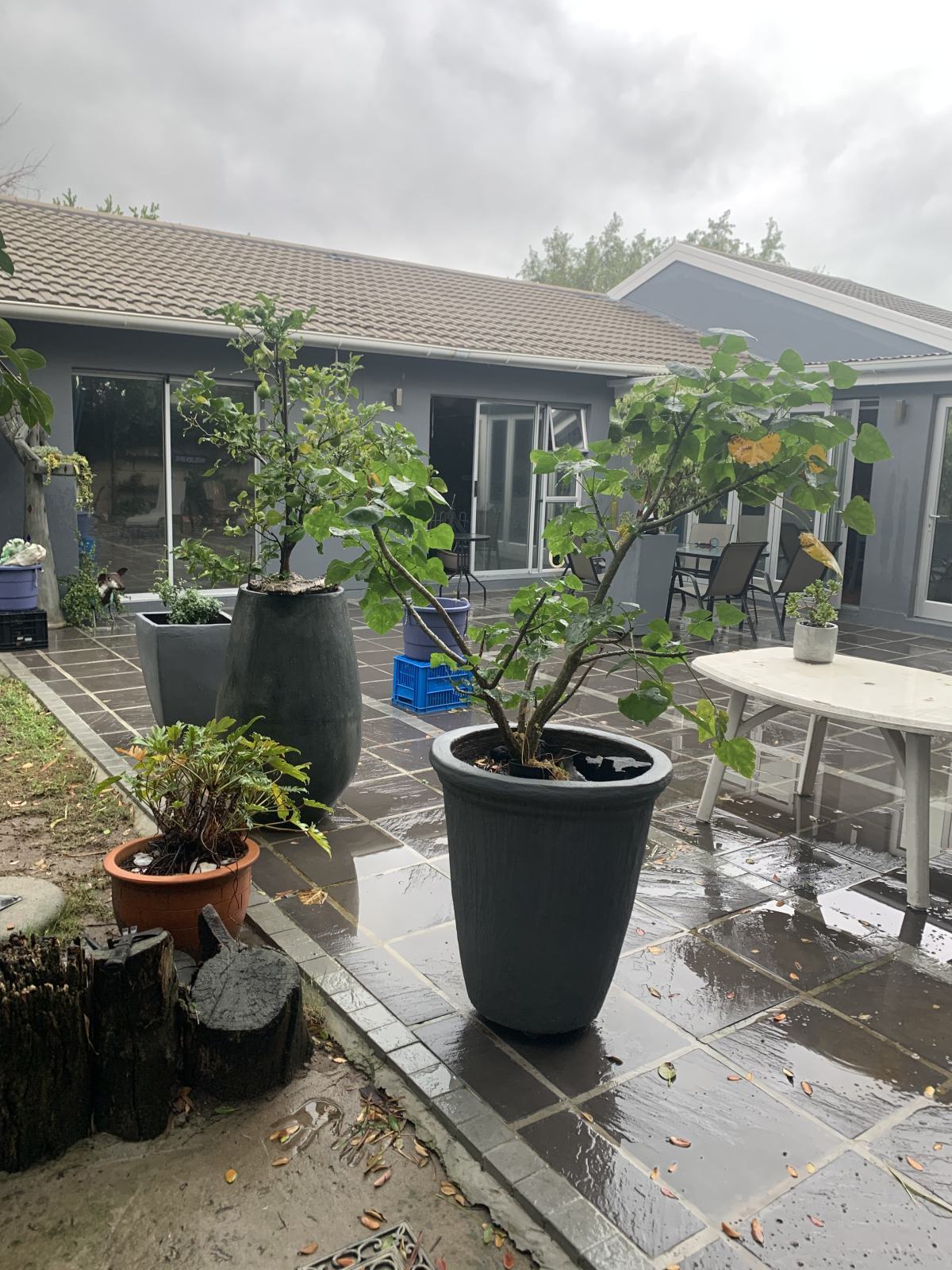 Patio And Missing Angels